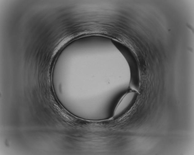 X0000096480789200802211213