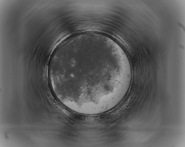 X0000096480790200802211213