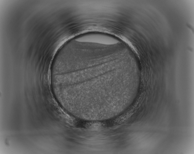 X0000096480791200802211213