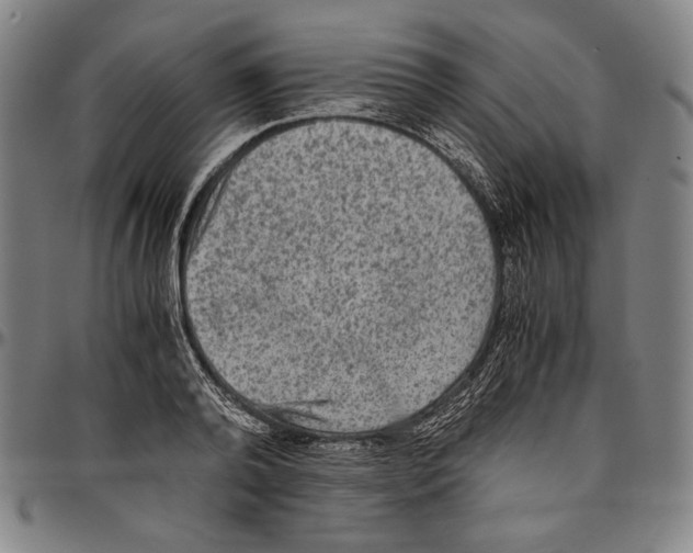 X0000096480792200802211213