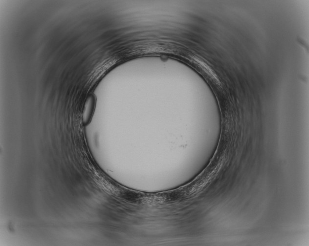X0000096480793200802211213