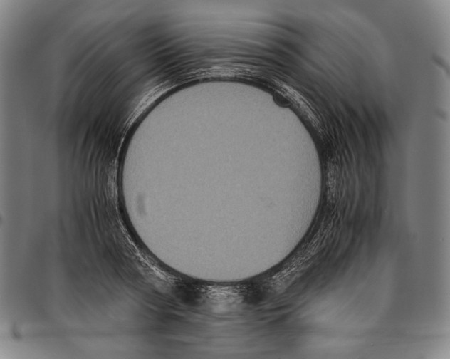 X0000096480794200802211213