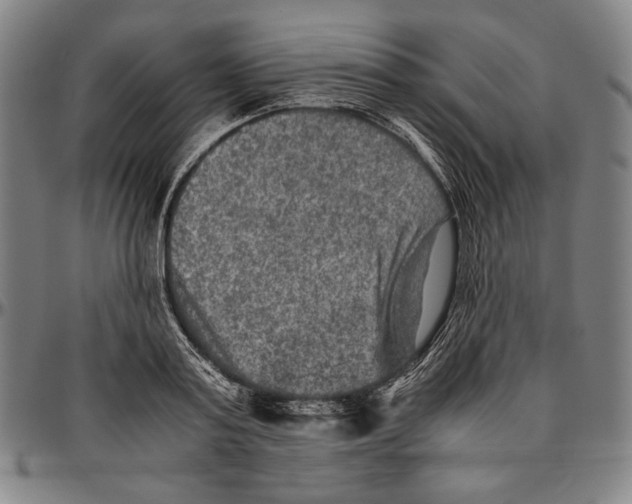 X0000096480795200802211213