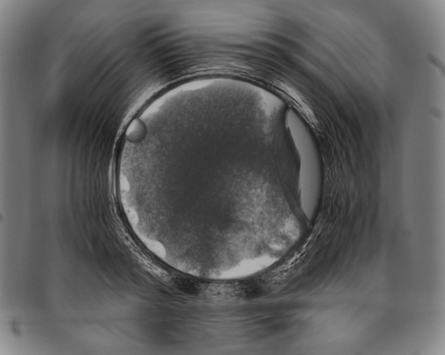 X0000096480796200802211213