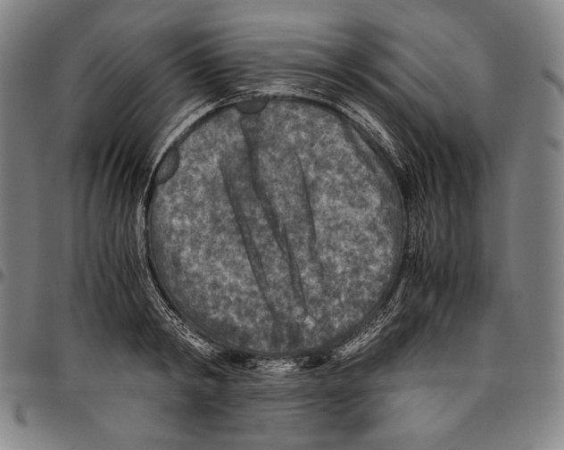 X0000096480798200802211213