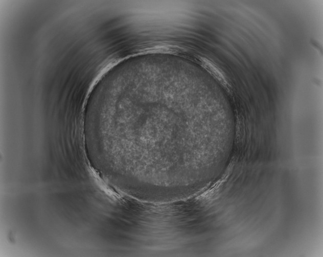 X0000096480800200802211213