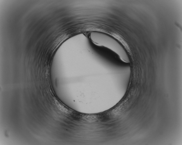X0000096480801200802211213