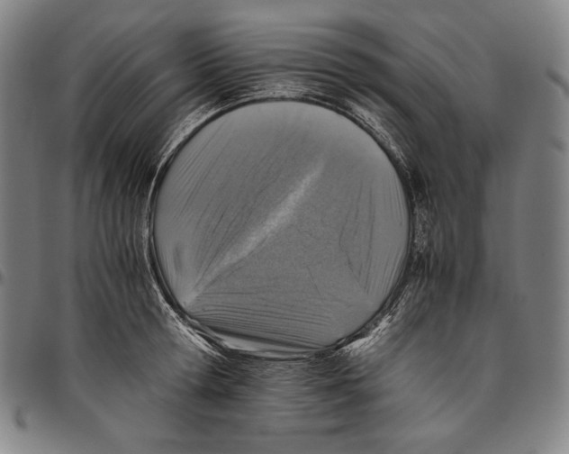 X0000096480802200802211213