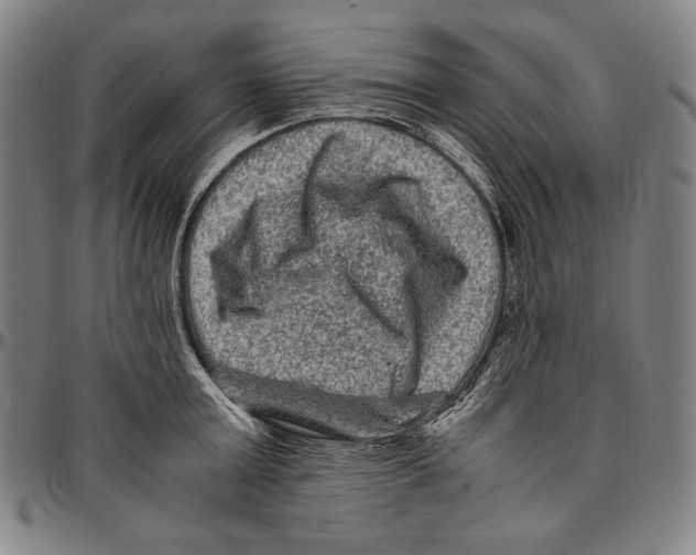 X0000096480803200802211213