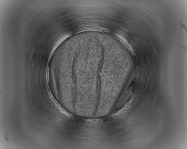 X0000096480804200802211213