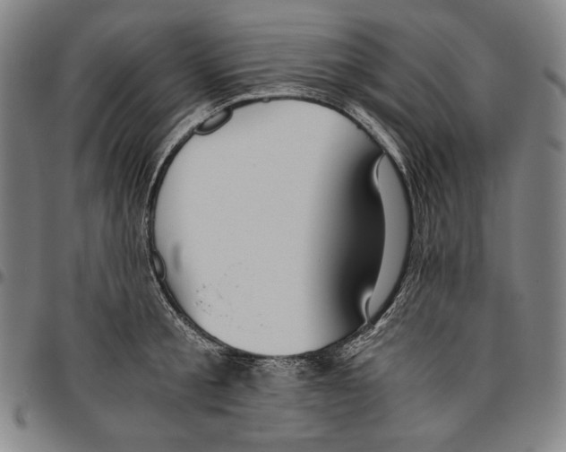 X0000096480805200802211213