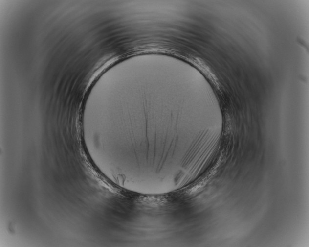 X0000096480806200802211213