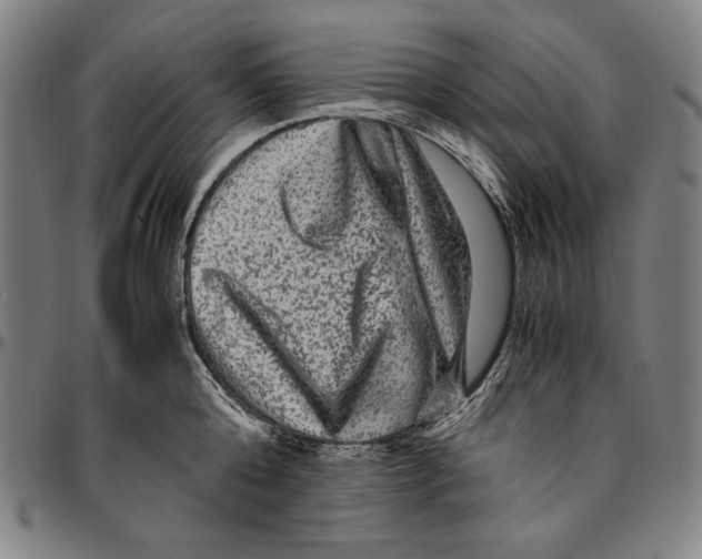 X0000096480808200802211213