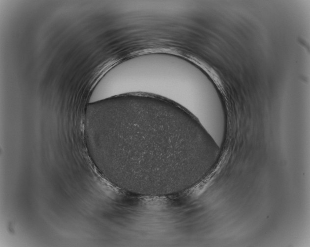 X0000096480809200802211213