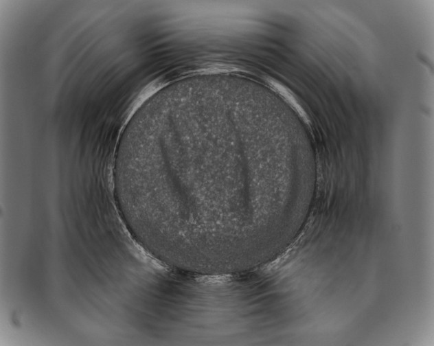 X0000096480810200802211213