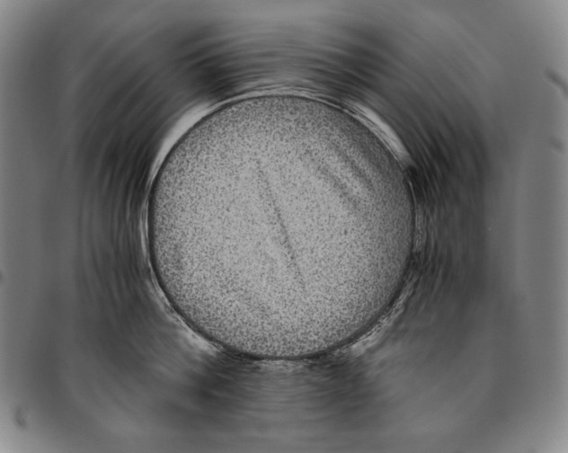 X0000096480812200802211213