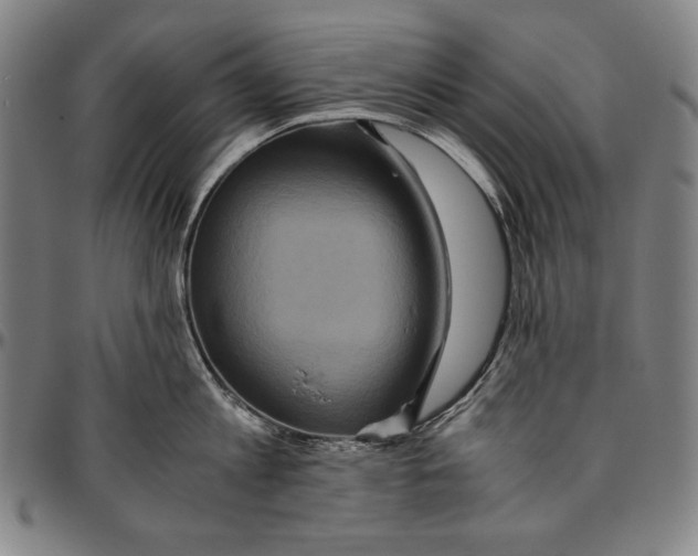 X0000096480813200802211213
