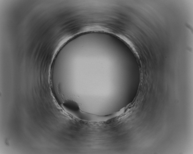 X0000096480815200802211213