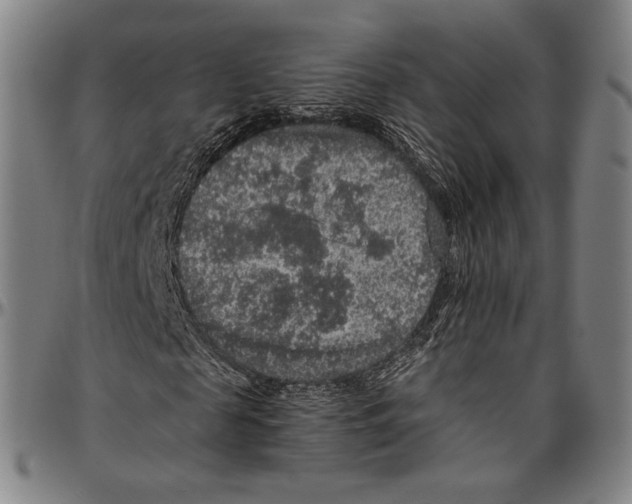 X0000096480817200802211212