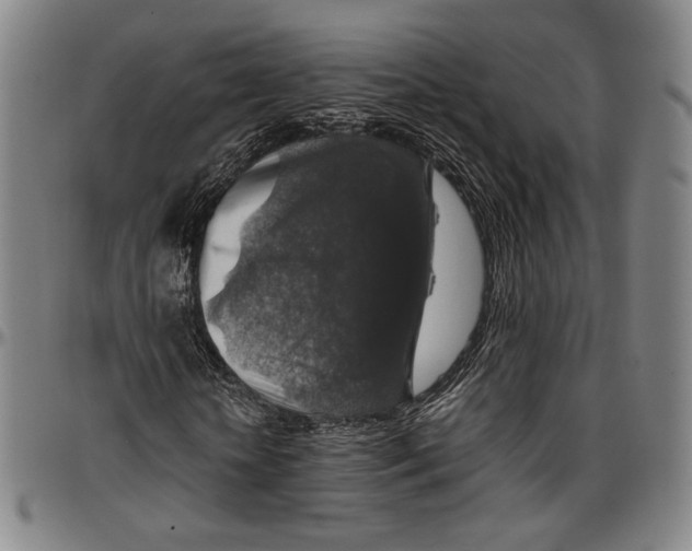 X0000096480818200802211212