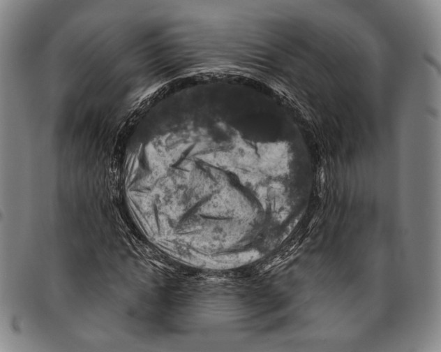 X0000096480822200802211212