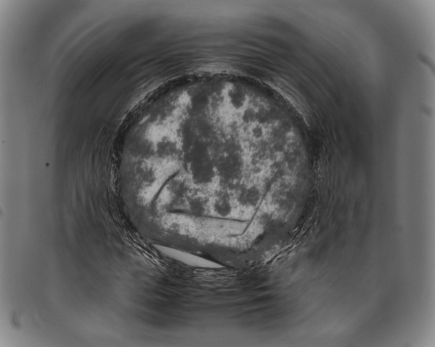 X0000096480823200802211212