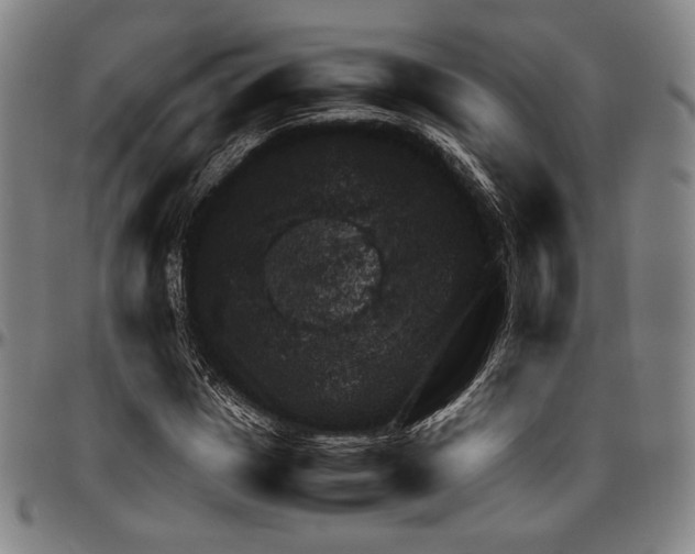 X0000096480825200802211212