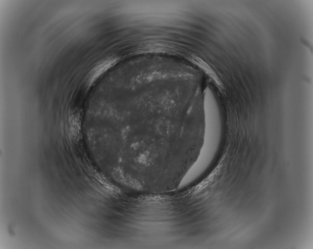 X0000096480826200802211212