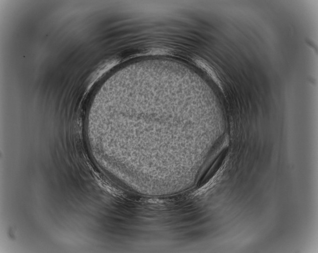 X0000096480827200802211212
