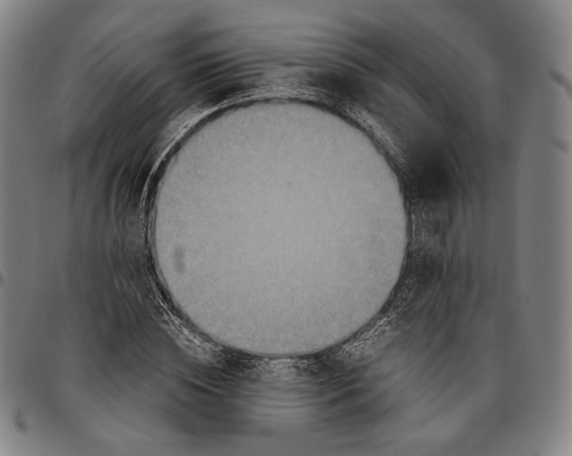 X0000096480828200802211212