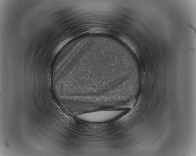 X0000096480829200802211212