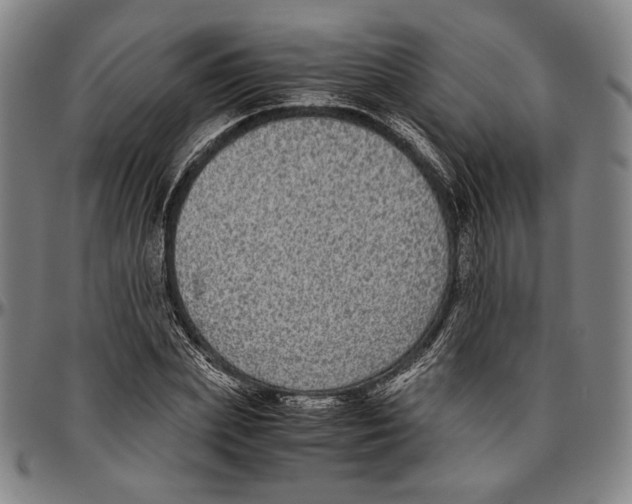 X0000096480831200802211212