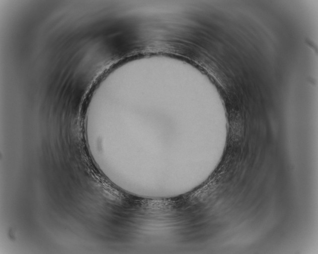 X0000096480832200802211212