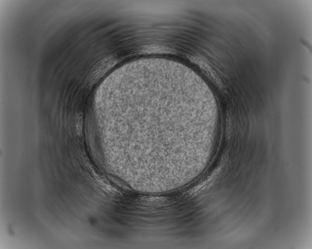 X0000096480833200802211212