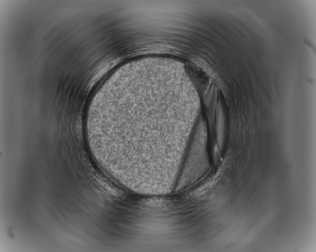 X0000096480834200802211212