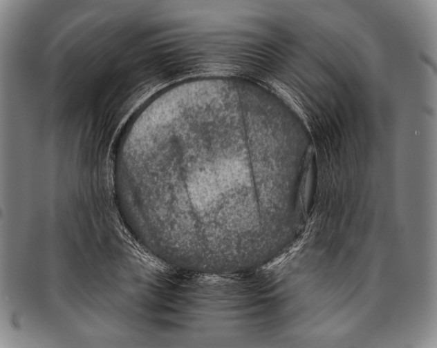 X0000096480835200802211212