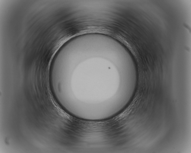 X0000096480836200802211212