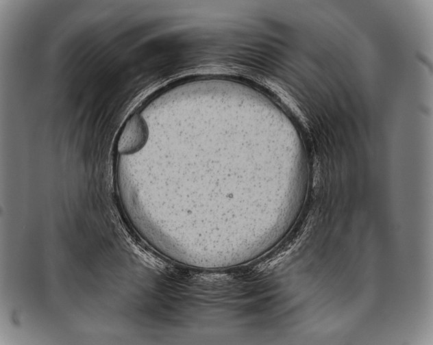 X0000096480837200802211212