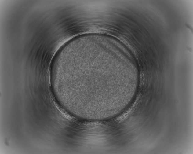 X0000096480838200802211212