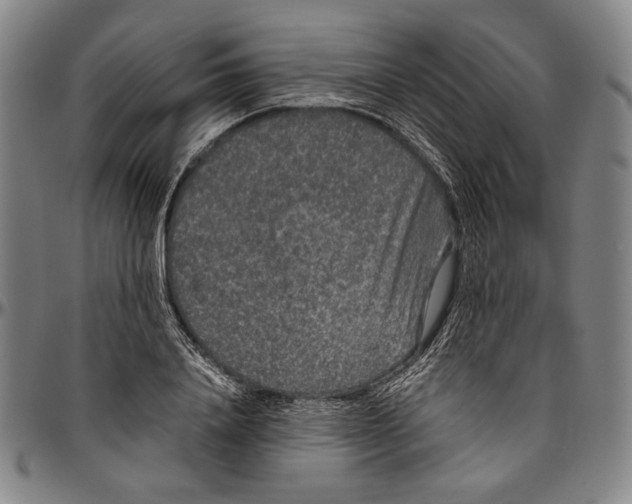 X0000096480840200802211212