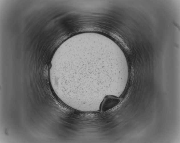 X0000096480841200802211212