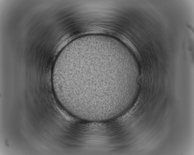 X0000096480842200802211212