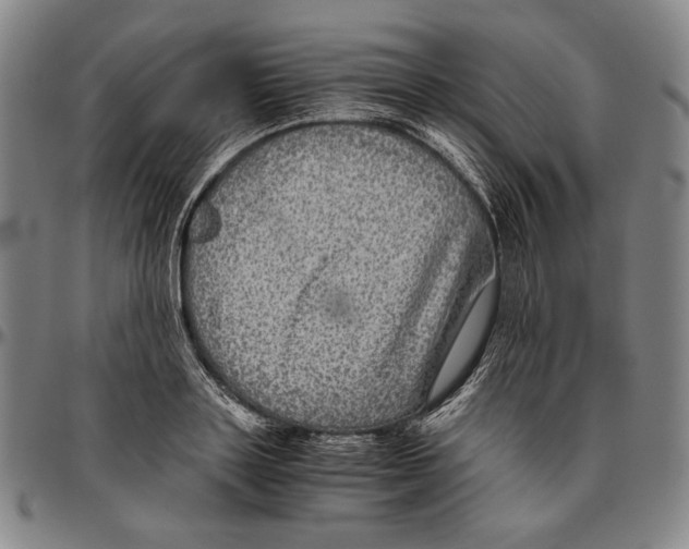X0000096480843200802211212