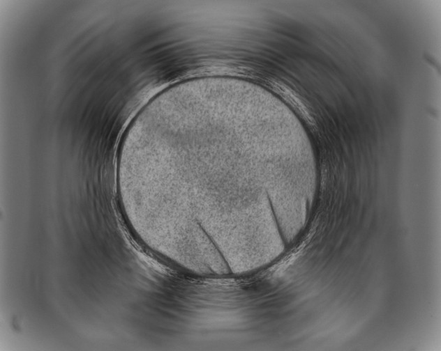 X0000096480844200802211212