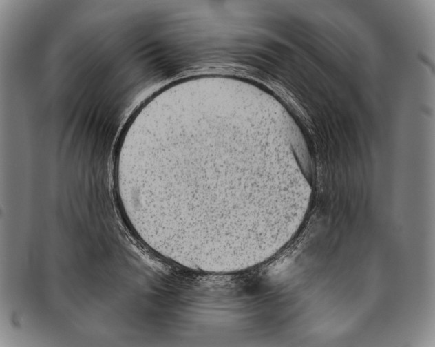 X0000096480846200802211212