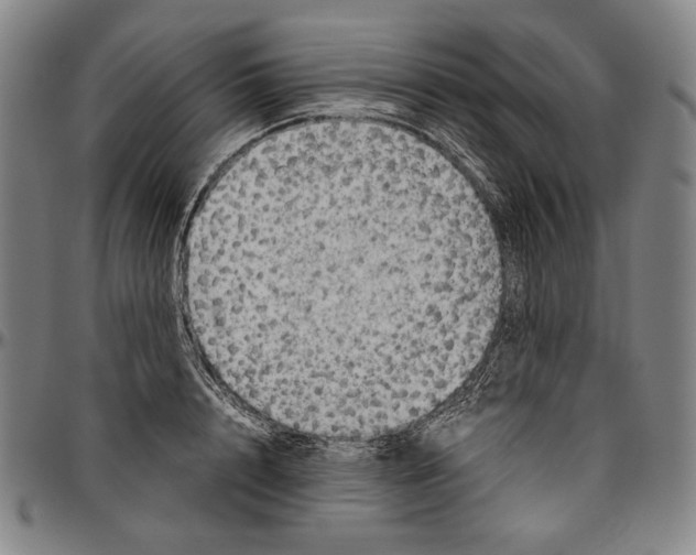 X0000096480848200802211212