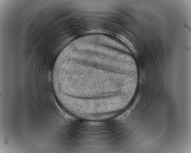 X0000096480849200802211212