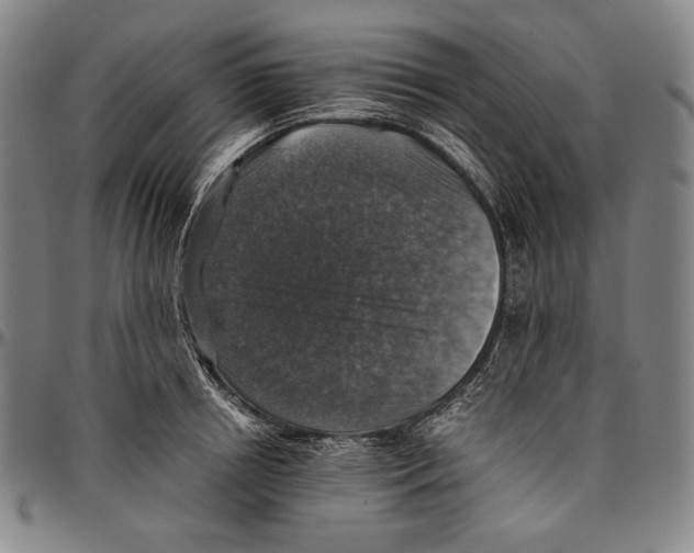X0000096480850200802211212