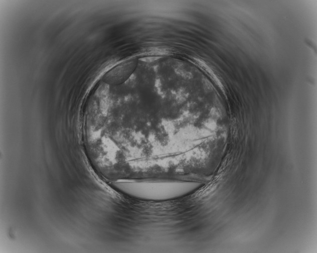 X0000096480851200802211212