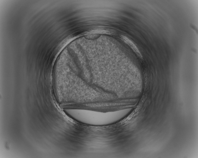 X0000096480852200802211212